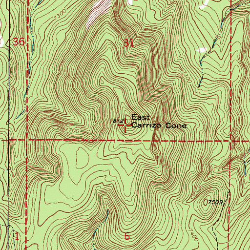 Topographic Map of East Carrizo Cone, NM