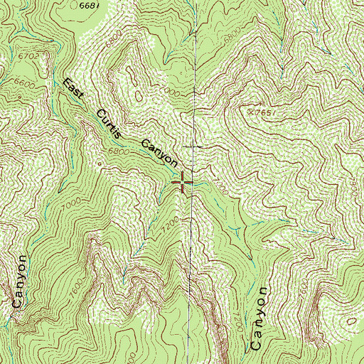 Topographic Map of East Curtis Canyon, NM