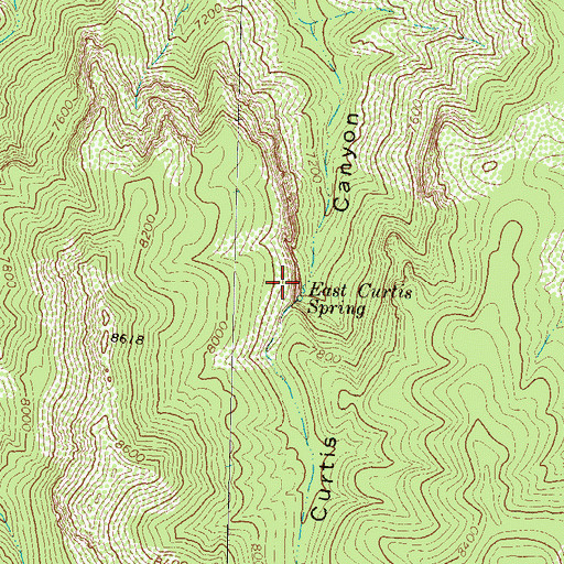 Topographic Map of East Curtis Spring, NM