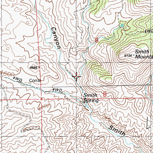 Topographic Map of East Fork Smith Canyon, NM