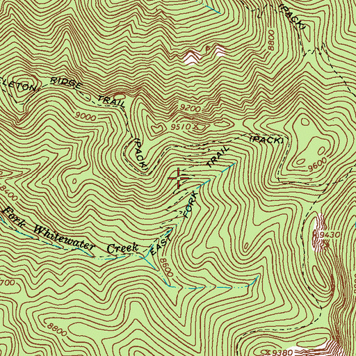 Topographic Map of East Fork Trail, NM
