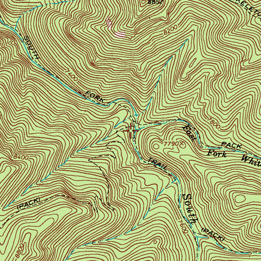 Topographic Map of East Fork Whitewater Creek, NM