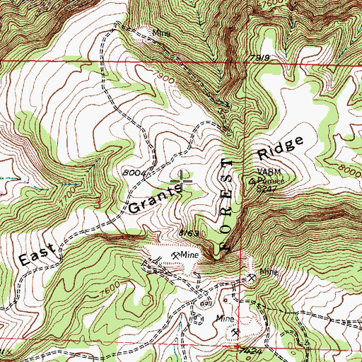 Topographic Map of East Grants Ridge, NM
