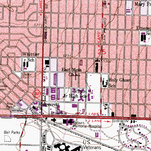 Topographic Map of East Mesa Church, NM