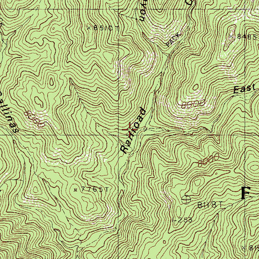 Topographic Map of East Railroad Canyon, NM