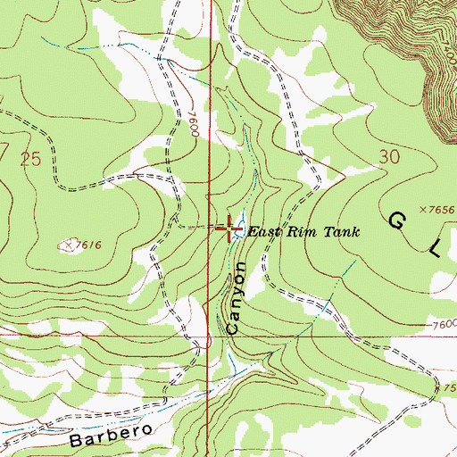 Topographic Map of East Rim Tank, NM