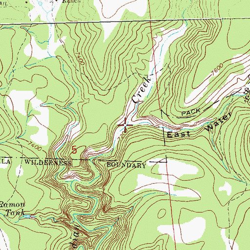 Topographic Map of East Water Canyon, NM