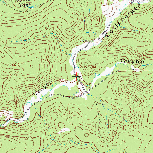 Topographic Map of Eckleberger Canyon, NM
