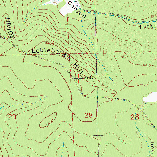 Topographic Map of Eckleberger Hill, NM