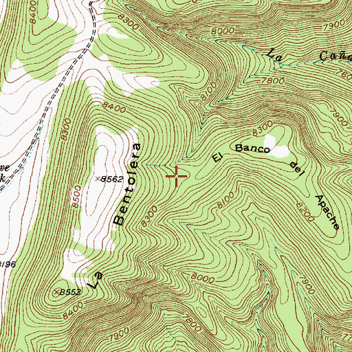 Topographic Map of El Banco del Apache, NM