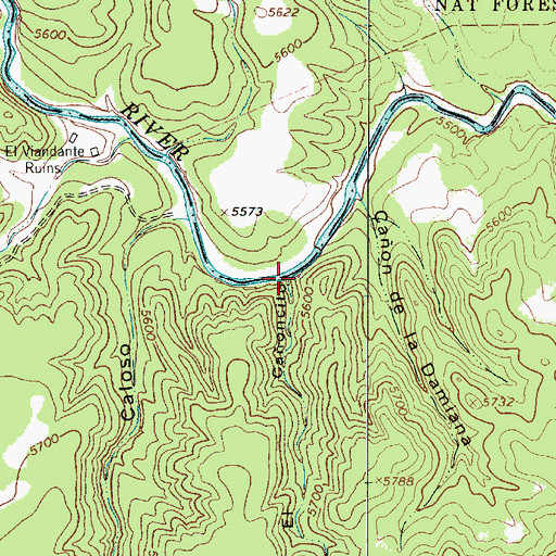 Topographic Map of El Caoncito, NM