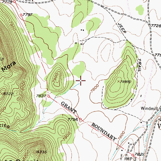 Topographic Map of El Caoncito, NM