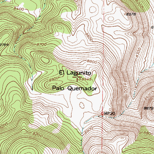 Topographic Map of El Lagunito Palo Quemador, NM