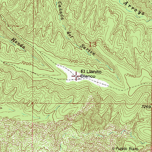 Topographic Map of El Llanito Blanco, NM