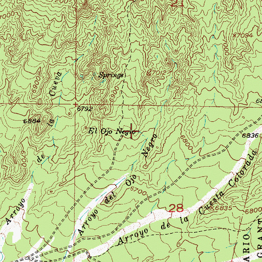 Topographic Map of El Ojo Negro, NM