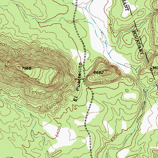 Topographic Map of El Puertecito, NM