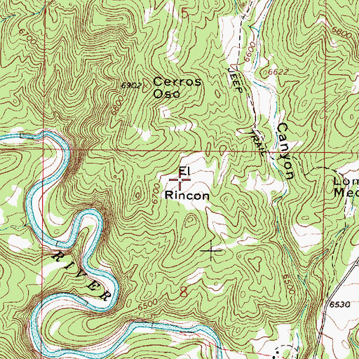 Topographic Map of El Rincon, NM