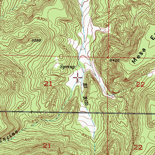 Topographic Map of El Rito, NM