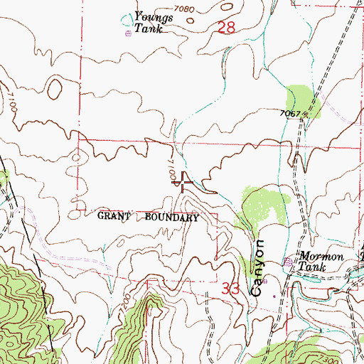 Topographic Map of El Rito Canyon, NM