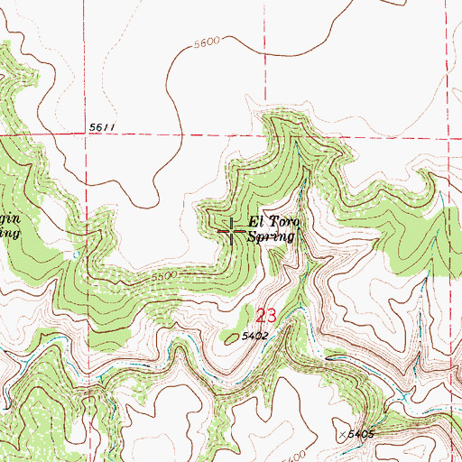 Topographic Map of El Toro Spring, NM