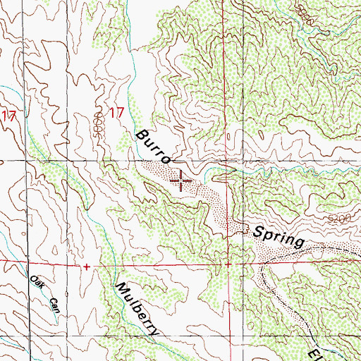 Topographic Map of Eldeberry Canyon, NM