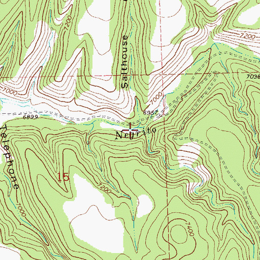 Topographic Map of Elk Horn Canyon, NM