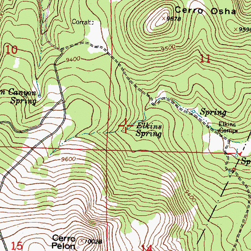 Topographic Map of Elkins Spring, NM