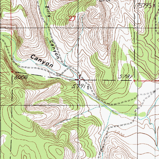 Topographic Map of Ellis Canyon, NM