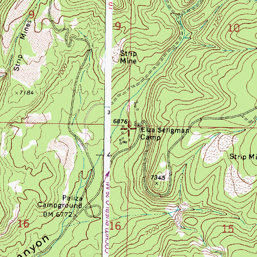 Topographic Map of Elza Seligman Camp, NM