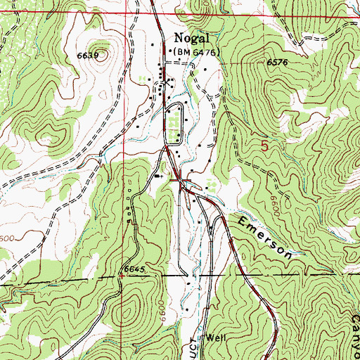 Topographic Map of Emerson Canyon, NM