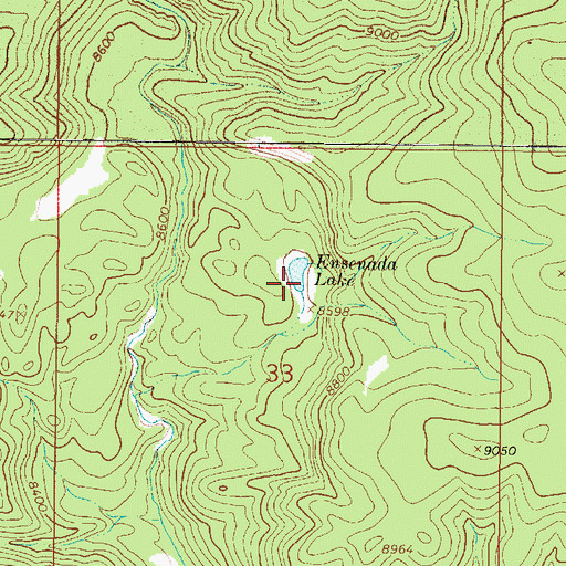 Topographic Map of Ensenada Lake, NM