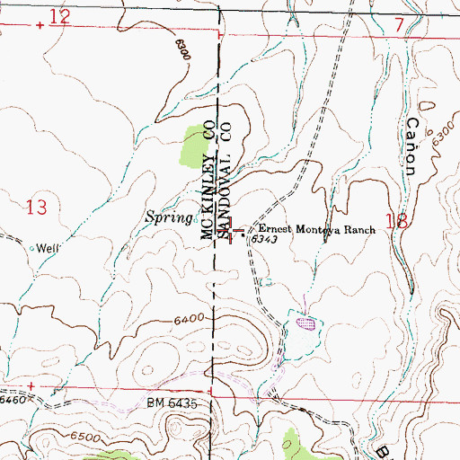Topographic Map of Ernest Montoya Ranch, NM