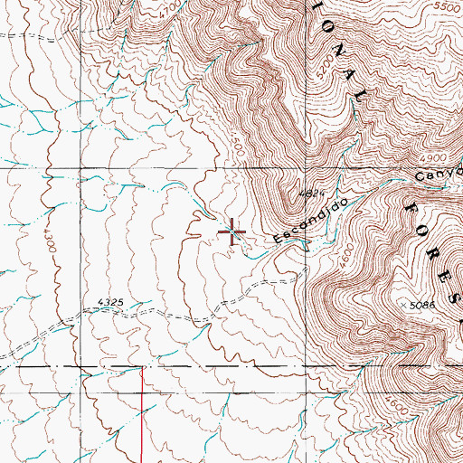 Topographic Map of Escondido Canyon, NM