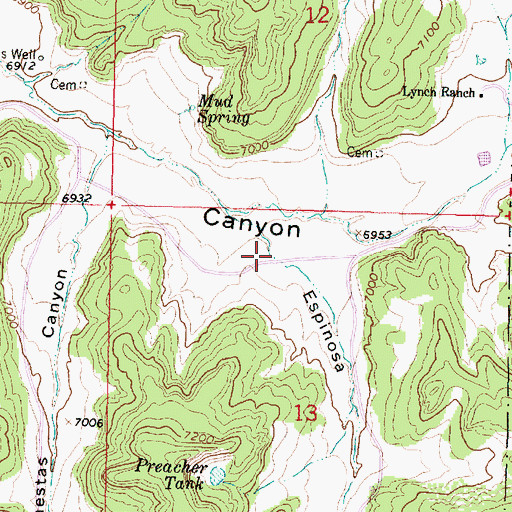 Topographic Map of Espinosa Canyon, NM