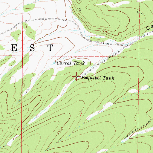 Topographic Map of Miner Tank, NM