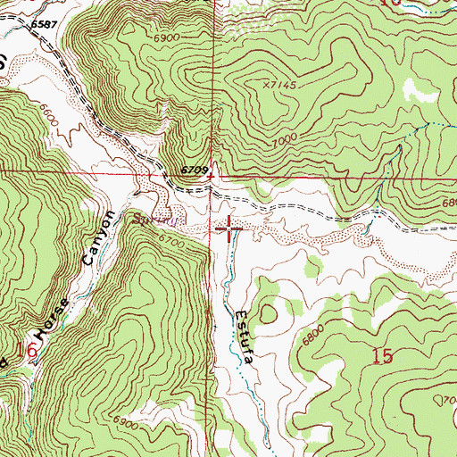 Topographic Map of Estufa Canyon, NM