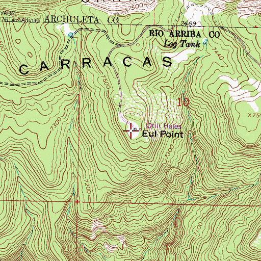Topographic Map of Eul Point, NM