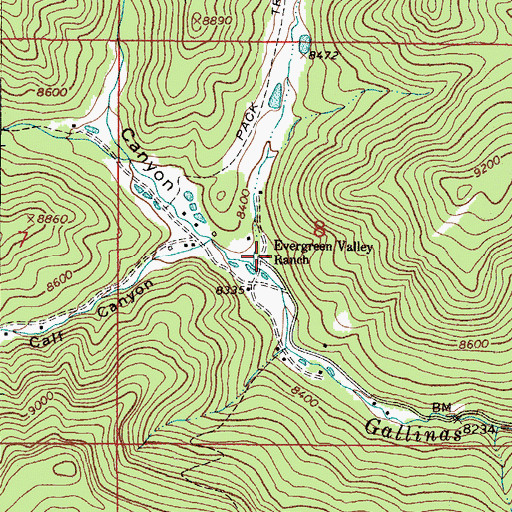 Topographic Map of Evergreen Valley Ranch, NM