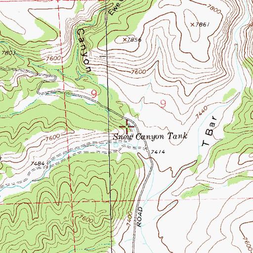 Topographic Map of Ewe Canyon, NM