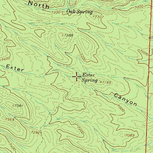 Topographic Map of Exter Spring, NM