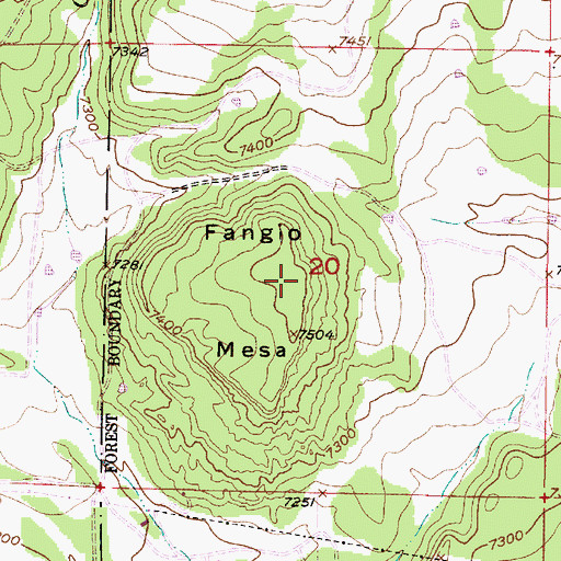 Topographic Map of Fangio Mesa, NM