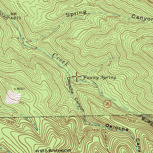Topographic Map of Fanny Spring, NM
