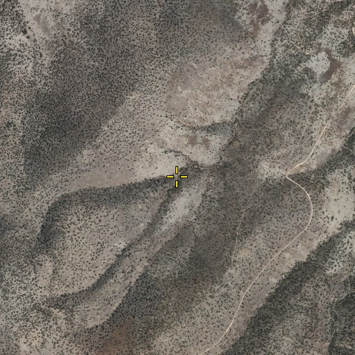Aerial/Satellite Image of Fawn Tank, NM