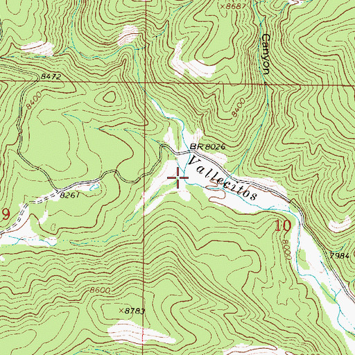 Topographic Map of Felipito Canyon, NM