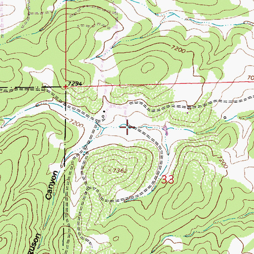 Topographic Map of Ferguson Canyon, NM