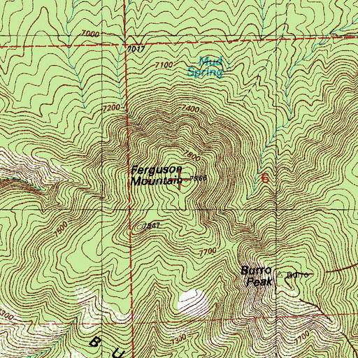 Topographic Map of Ferguson Mountain, NM