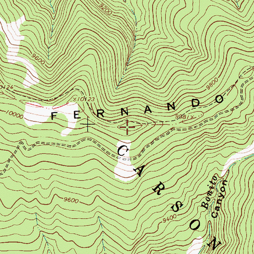 Topographic Map of Fernando Mountains, NM