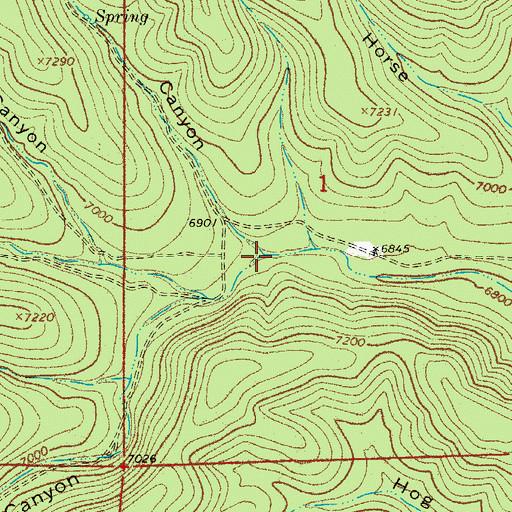 Topographic Map of Fire Canyon, NM