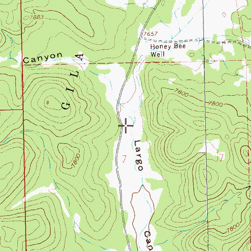 Topographic Map of Firebox Canyon, NM