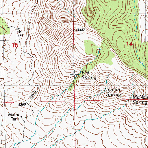 Topographic Map of Fish Spring, NM
